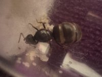 IMG_3724.jpeg