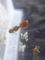 IMG_20250723_130756.jpg
