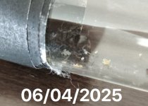 IMG_20250723_184314.jpg