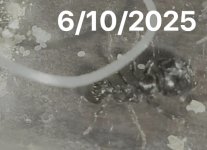 IMG_20250723_183954.jpg