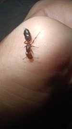 20250724_000926.jpg