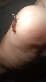 20250724_000920.jpg