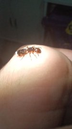 20250723_235710.jpg