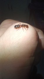 20250723_235704.jpg