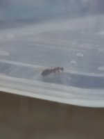 20250724_115124.jpg