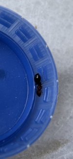 IMG_7761.jpeg