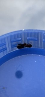 IMG_7759.jpeg