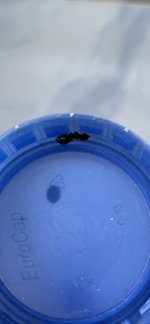 IMG_7758.jpeg