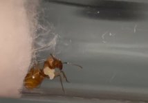 IMG_2828.jpeg