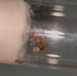 IMG_2827.jpeg