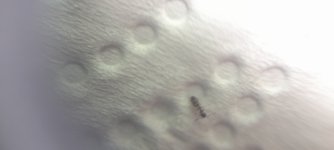 20250725_002052.jpg
