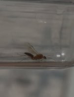 IMG_2832.jpeg
