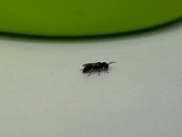 754d462e-a08d-4a71-99ea-6949f969abff.jpeg
