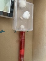 IMG_7707.jpeg