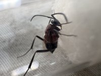 IMG_6004.jpeg