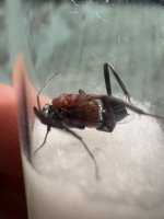 IMG_6022.jpeg
