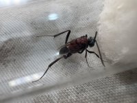 IMG_6008.jpeg