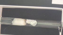 20250727_183723.jpg
