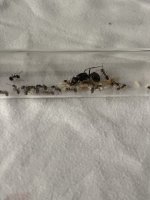 IMG_1329.jpeg