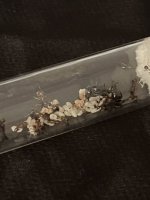 IMG_1331.jpeg