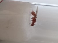 IMG_20250728_130802_212.jpg
