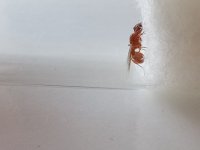 IMG_20250728_130731_235.jpg