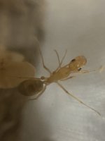 IMG_5282.jpeg