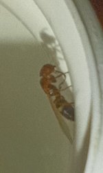 IMG_20250728_235355.jpg