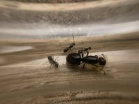 IMG_0718.jpeg