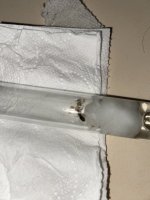 IMG_5682.jpeg