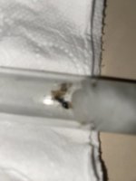 IMG_5681.jpeg