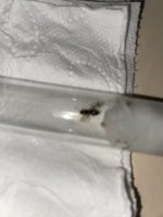 IMG_5680.jpeg
