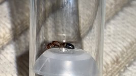 IMG_7509.jpeg