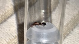 IMG_7506.jpeg