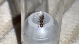 IMG_7505.jpeg
