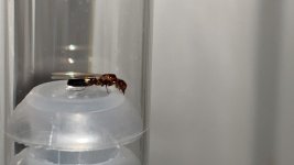 IMG_7501.jpeg