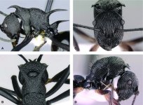 microsculpture.jpg