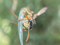 IMG_0756.jpeg