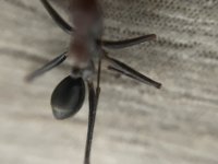 IMG_7586.jpeg