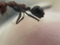 IMG_7588.jpeg