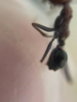 IMG_7589.jpeg