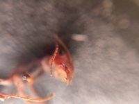 IMG_7602.jpeg