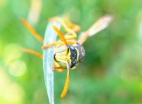 IMG_0762.jpeg