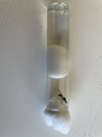 IMG_2117.jpeg