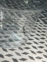 IMG_8666.jpeg