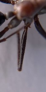 IMG_7606.jpeg