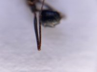 IMG_7612.jpeg