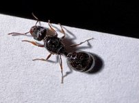 IMG_1300.jpeg