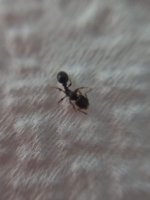 20250801_133133.jpg