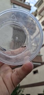 20250802_185313.jpg